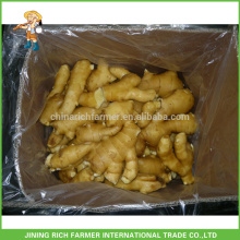 Exportador de gengibre fresco na China 150g até 5kg / 10kg Carton